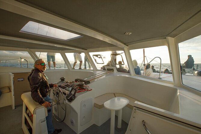 Catamaran Sunset Champagne Cruise Cape Town - Authentic Feedback from Travelers