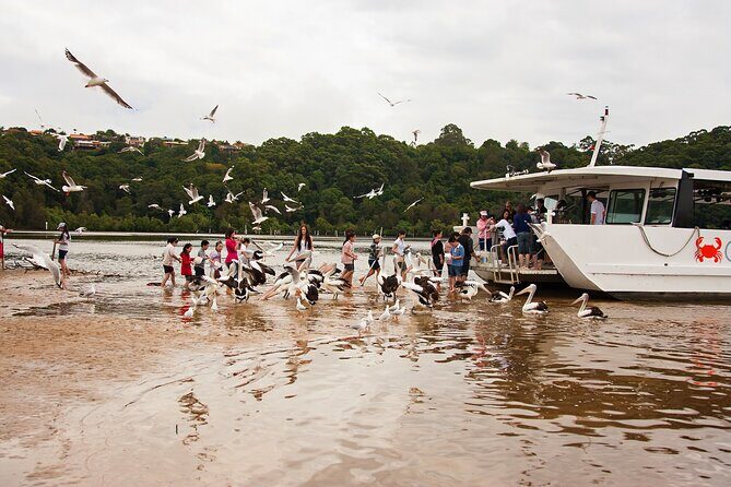 Catch a Crab Tour with Optional Seafood Lunch - Practical Considerations