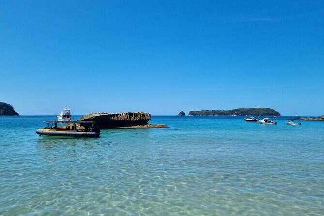 Cathedral Cove 2 Hour Guided Tour Explore Marine Wonders - Why This Tour Stands Out