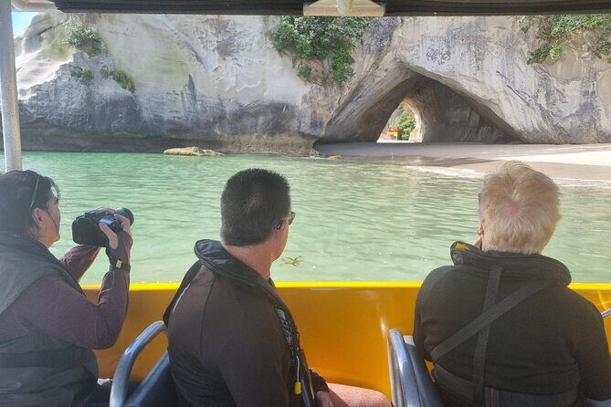 Cathedral Cove 2 Hour Guided Tour Explore Marine Wonders - Who Is This Tour Best For?