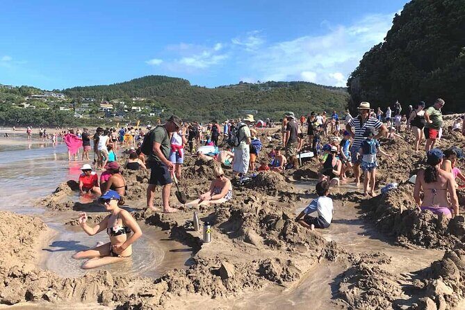Cathedral Cove and Hot Water Beach Private Tour - What Makes This Tour Stand Out?