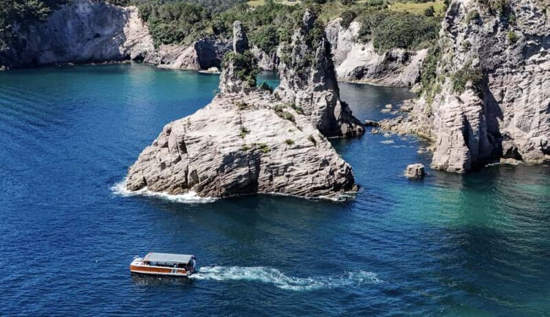 Cathedral Cove Coast and Cave Tour - The Itinerary: What to Expect from Start to Finish