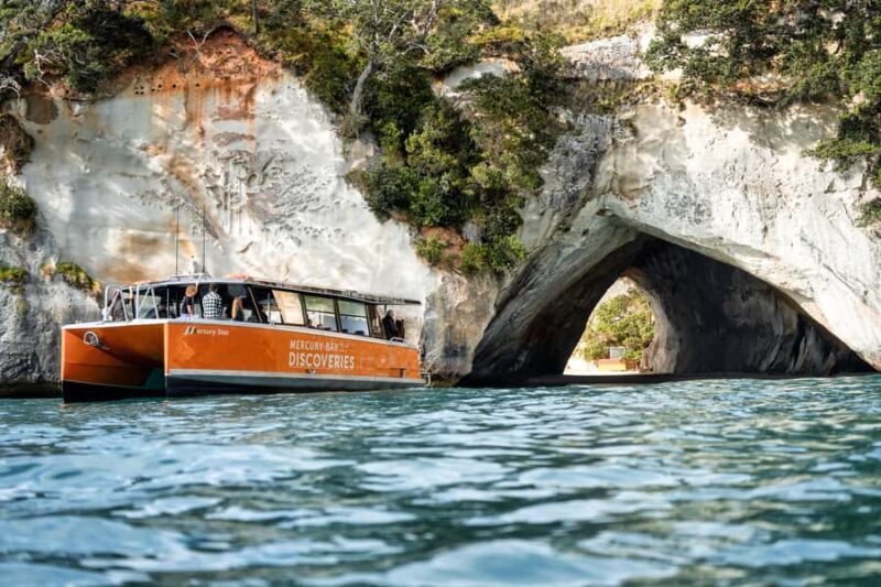 Cathedral Cove Coast and Cave Tour - The Vessel & Amenities: Comfort Matters