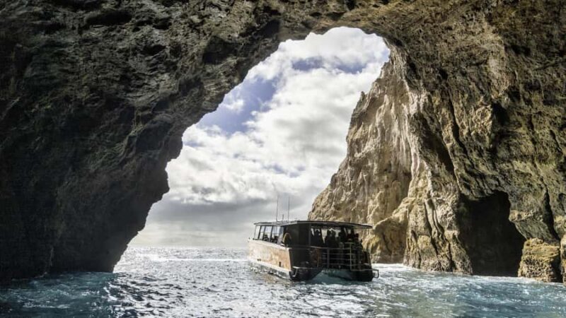 Cathedral Cove Coast and Cave Tour - The Price & Value