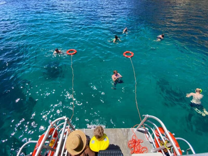 Cathedral Cove Coast and Cave Tour - The Experience Beyond the Landmarks