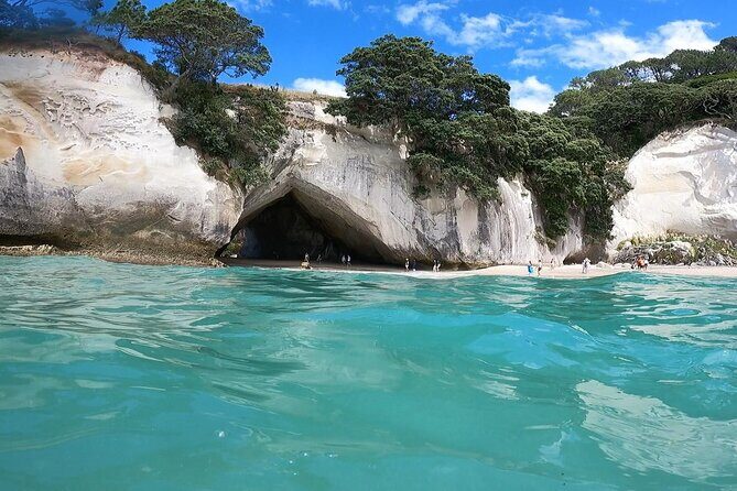 Cathedral Cove & Coromandel Peninsula Small-Group Day Tours - An In-Depth Look at the Tour Experience