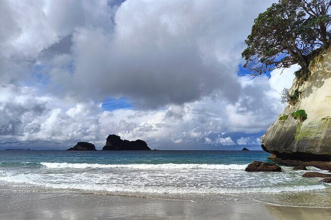 Cathedral Cove & Coromandel Private Experience from Auckland - A Closer Look at the Itinerary and Experiences