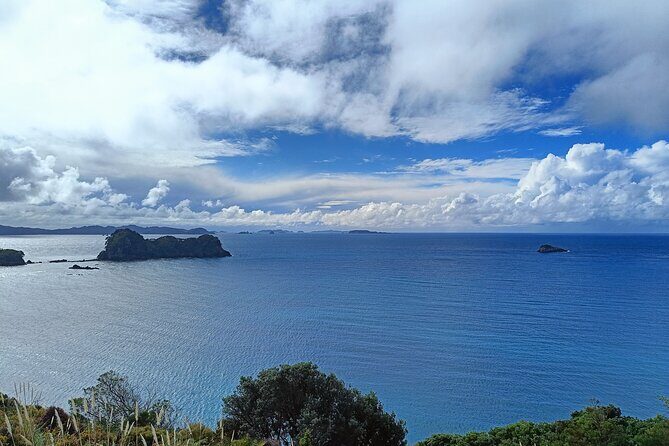Cathedral Cove & Coromandel Private Experience from Auckland - Who Will Love This Tour?