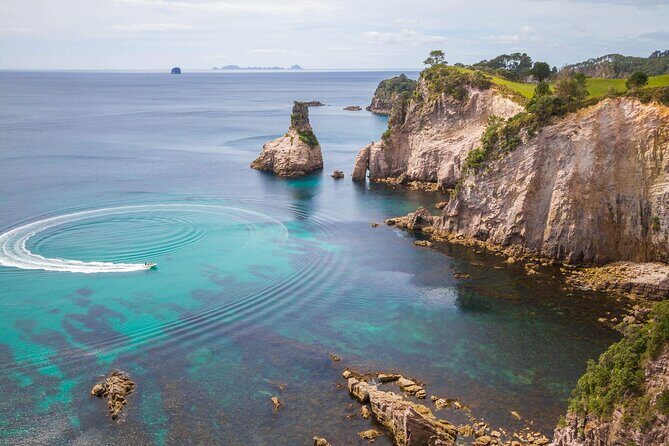 Cathedral Cove & Coromandel, Small-Group Tour from Auckland - What’s Included and What’s Not