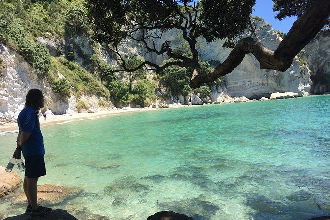 Cathedral Cove Day Trip from Auckland - The Value of the Tour