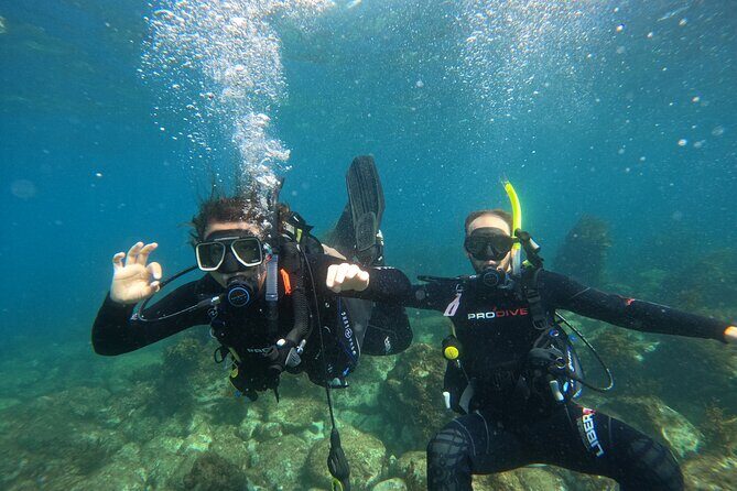 Cathedral Cove Dive & Snorkel- Marine Reserve specialised trips - In The Sum Up