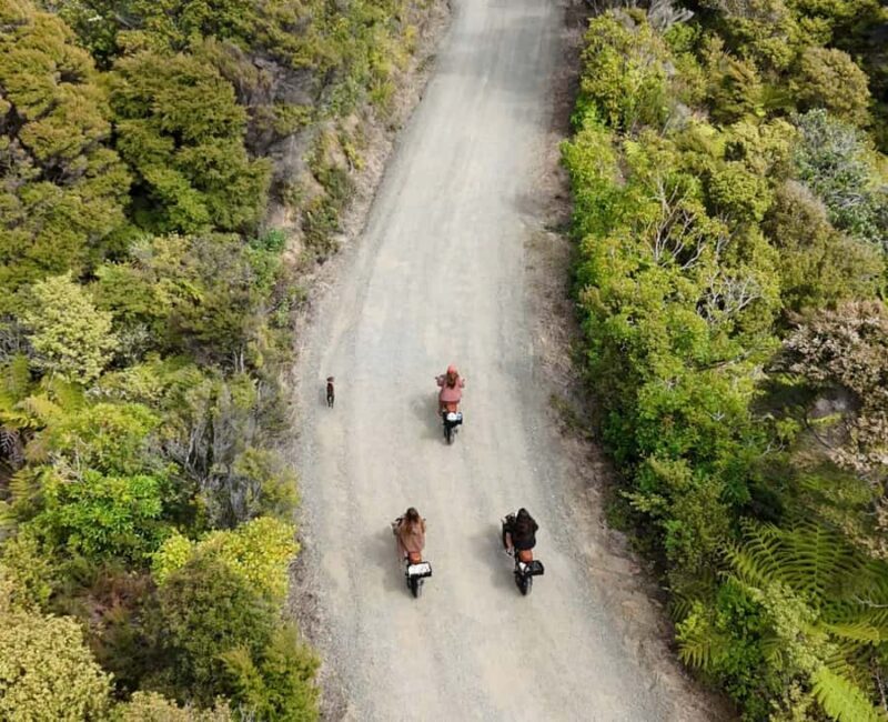 Cathedral Cove Electric Fat Tyre Bike Tour with Local Guide - An In-Depth Look at the Experience