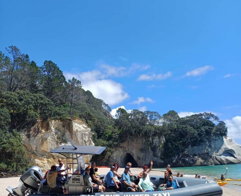 Cathedral Cove Electric Fat Tyre Bike Tour with Local Guide - What Makes This Tour Stand Out?