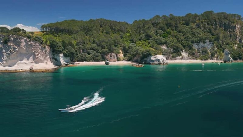 Cathedral Cove Electric Fat Tyre Bike Tour with Local Guide - Who Is This Tour Best For?