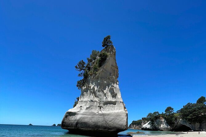 Cathedral Cove & Hot water beach -Full Day Tour: PRIVATE TOUR - The Value of a Private Experience