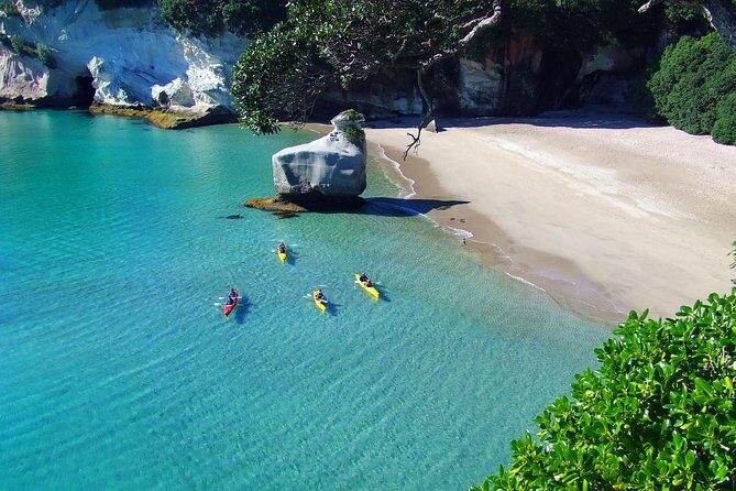 Cathedral Cove Kayak Tour - Introduction: Why This Tour Stands Out