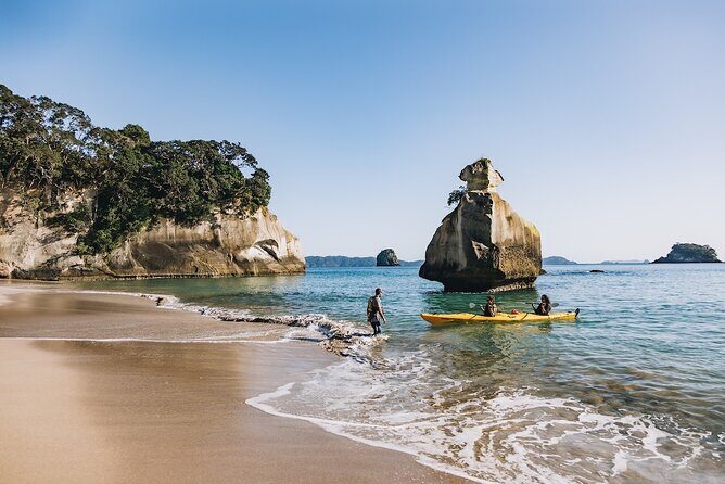 Cathedral Cove Kayak Tour - The Experience in Detail: From Beginning to End