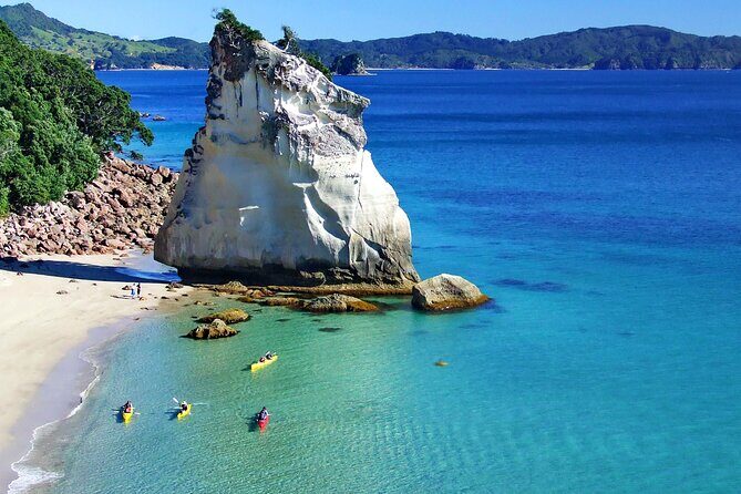 Cathedral Cove Kayak Tour - Practical Tips for Enjoying Your Kayak Tour