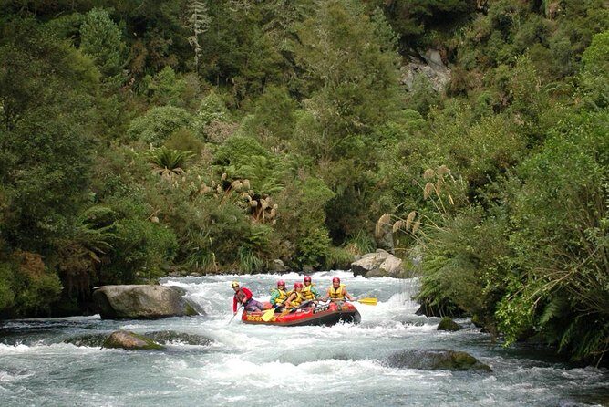 Cathedral Cove Kayak Tour - Who Will Love This Tour?