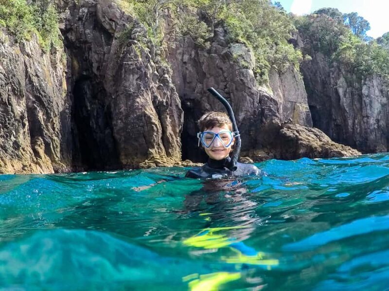 Cathedral Cove Marine Reserve: Snorkeling Boat Trip - Key Points