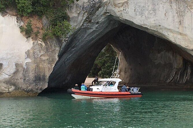 Cathedral Cove Scenic Cruises Whitianga - Who Will Love It?