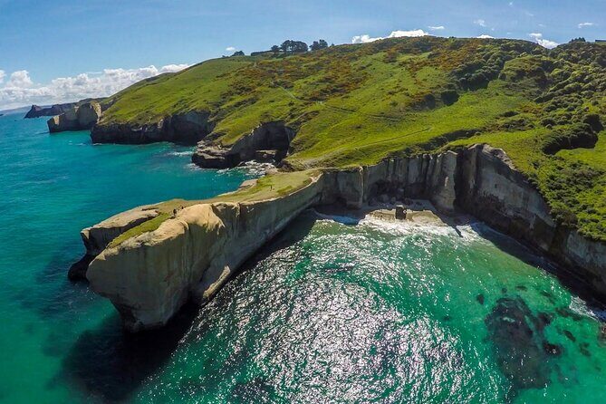 Catlins Cruiser Private Tour from Dunedin Cruise Port - Key Points