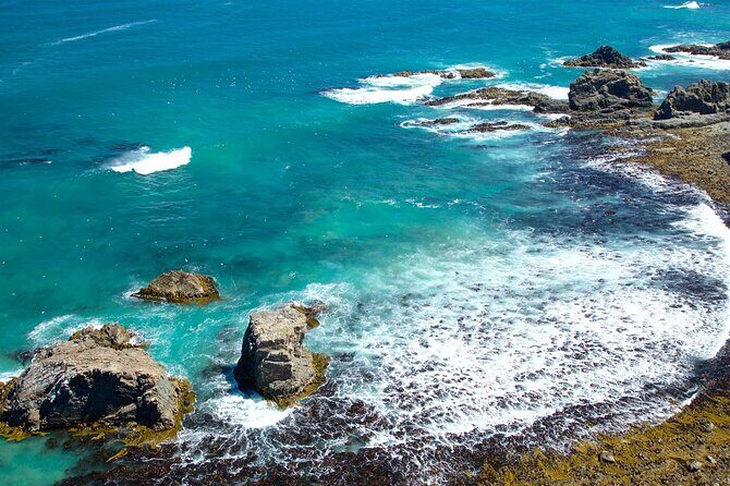 Catlins Cruiser Private Tour from Dunedin Cruise Port - Final Word