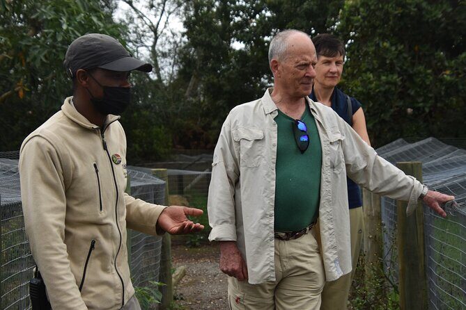 Cats in Conservation - Why This Tour Represents Excellent Value
