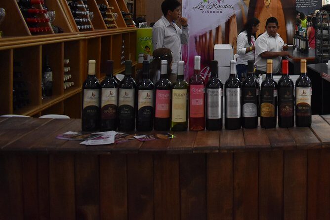 Cavas Freixenet Wine Tour from Mexico City - Final Thoughts