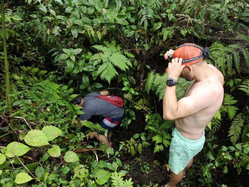 Cave Pool & Lava Tube Swims of Upolu - Who Should Consider This Tour