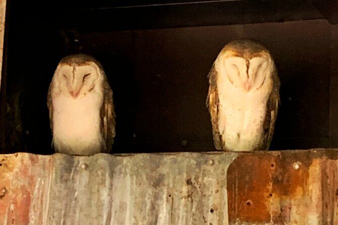 Caversham Wildlife and Swan Valley Private Tour - The Sum Up: Who Will Love This Tour?