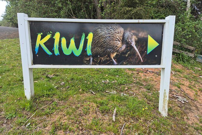 Caves to Kiwis E-Bike Rental - Practicalities: What to Expect and Value