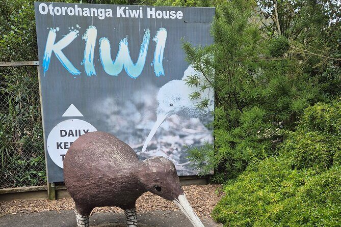 Caves to Kiwis E-Bike Rental - Who Will Love This Tour?