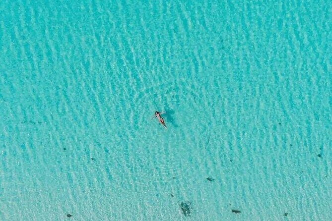 Cayman Adventure: Starfish Point, Stingray City and Coral Gardens - Practical Tips for Your Trip