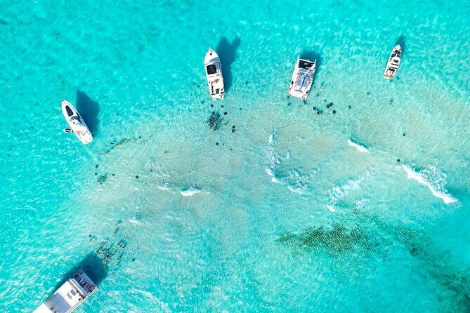 Cayman Adventure: Starfish Point, Stingray City and Coral Gardens - Who Will Benefit Most From This Tour?