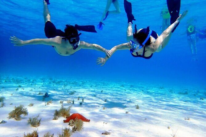 Cayman Adventure: Starfish Point, Stingray City and Coral Gardens - FAQ