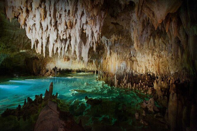Cayman Combo Tour: Stingrays, Starfish Point and Crystal Caves - Final Thoughts