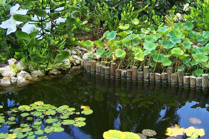 Cayman Crystal Caves & Pedro St James Castle or Botanical Garden - Final Thoughts
