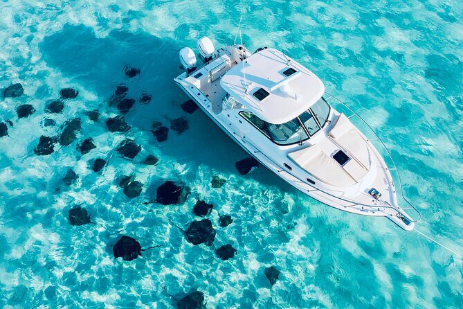 Cayman Private Luxury Charters - Stingray City, Snorkel, & More - Introduction