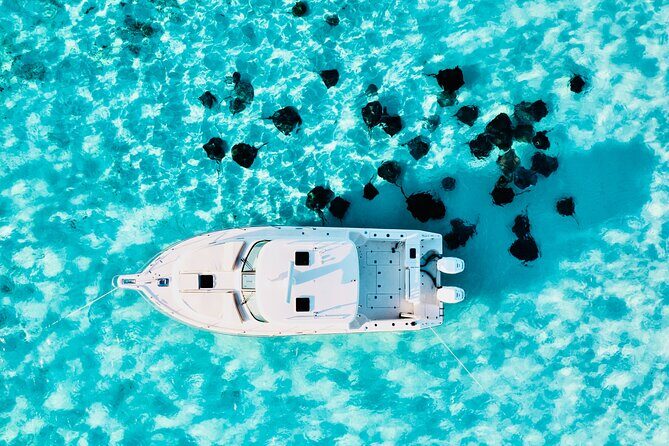 Cayman Private Luxury Charters - Stingray City, Snorkel, & More - Key Points