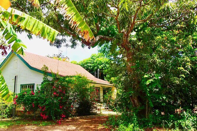 CaymanVisitor Hide & Seek GeoTour Self-Drive Tour - Who Should Consider This Tour?
