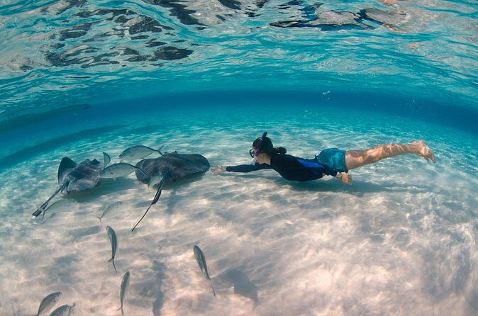 CaymanVisitor Hide & Seek GeoTour Self-Drive Tour - The Sum Up