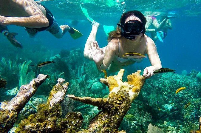Cayo Arena Day Trip from Puerto Plata - Who Should Consider This Tour?