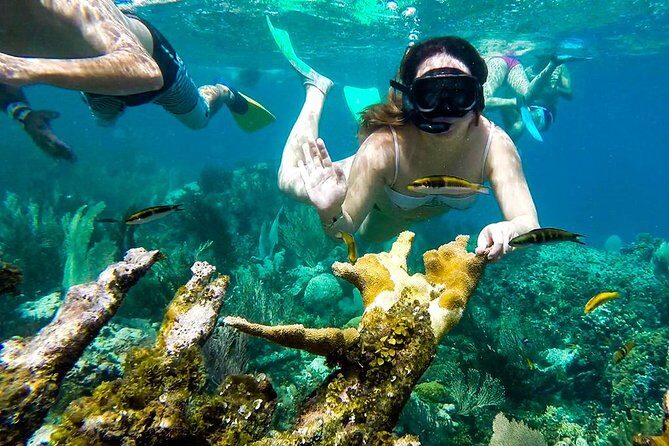 Cayo Arena Day Trip from Puerto Plata - The Sum Up
