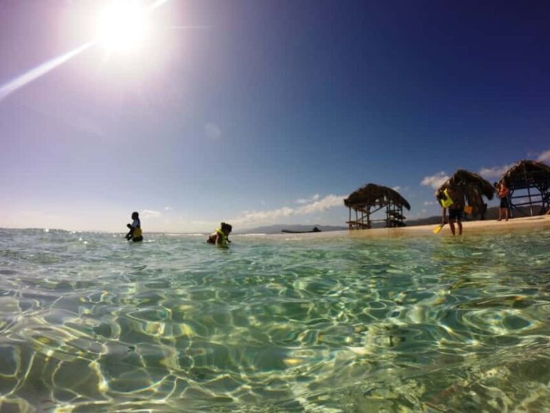 Cayo Arena: Paradise Island and Mangroves Tour - A Deep Dive into the Experience
