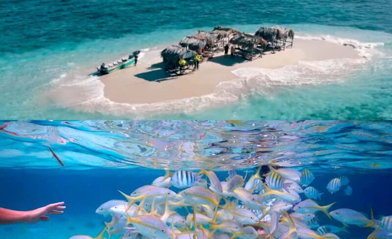 Cayo Arena: Paradise Island and Mangroves Tour - Final Thoughts: Who Will Love This Tour?