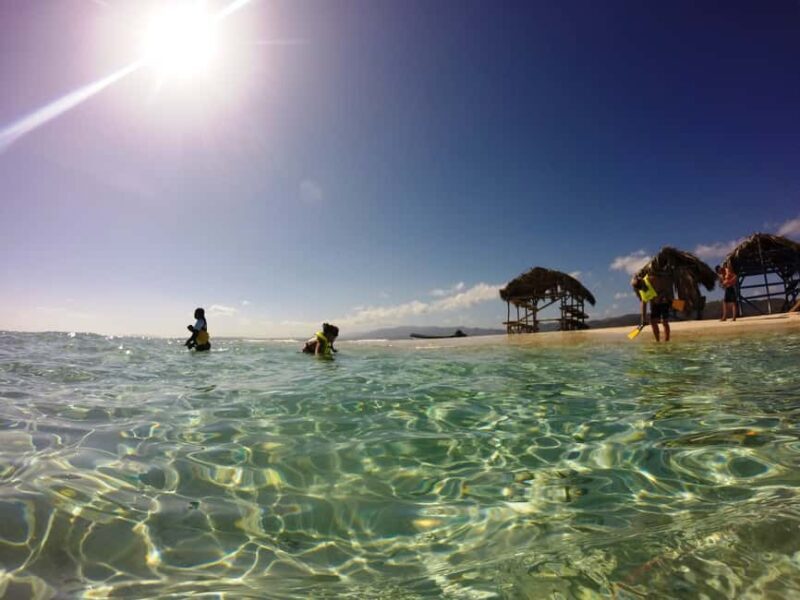 Cayo Arena: Paradise Island and Mangroves Tour - An Overview of the Tour Experience