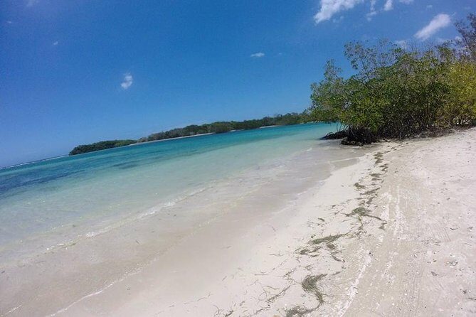 Cayo Arena, Paradise Island Tour - Snorkeling and Wildlife