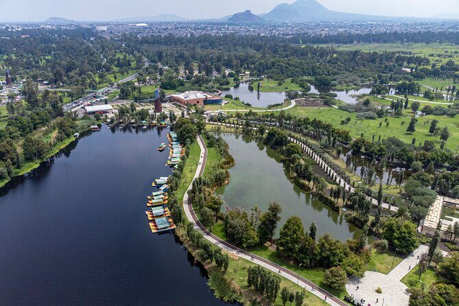 CDMX Enjoy a unique tour of Xochimilco and Coyoacán - Who Will Love This Tour?