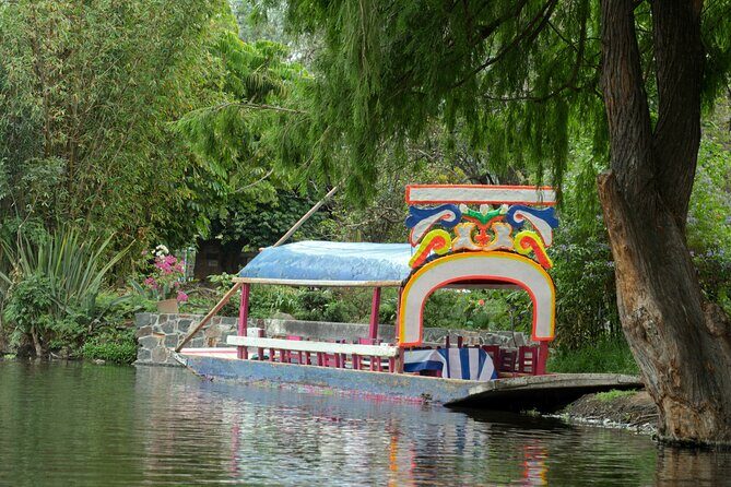 CDMX Enjoy a unique tour of Xochimilco and Coyoacán - Final Thoughts on Value and Experience